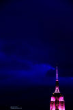 New York City -Empire State in Pink