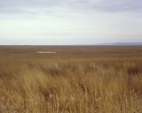 English Landscape Fine Art Photography - P8