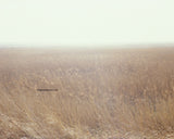 English Landscape Fine Art Photography - P8