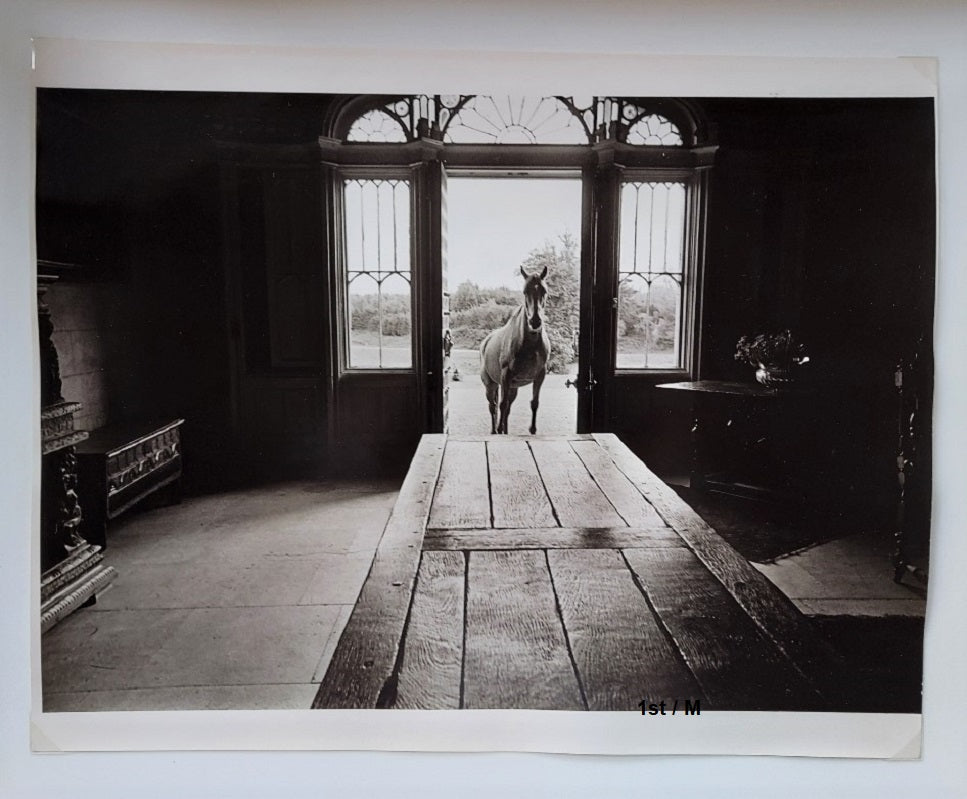 Horse at Castle, County Mayo, Ireland - Silver Gelatin Print, Archival Pigment Prints