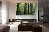 Landscape - Lush forests in Europe "Tranquility" - large ready to install photography