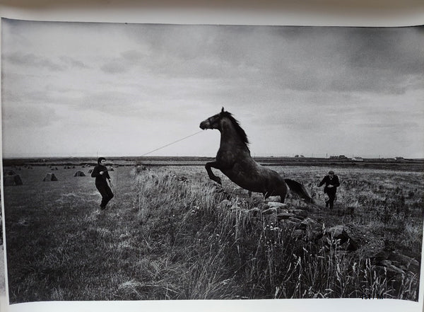Jumping Horse with Reins, County Sligo, Ireland - Silver Gelatin Print, Archival Pigment Prints