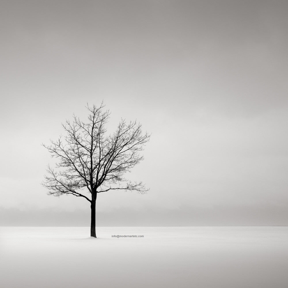 Black and White series - Solitude and Nature