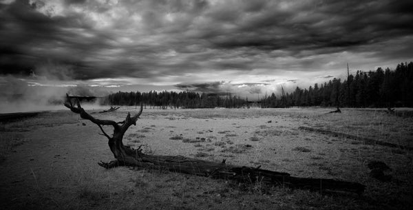 Photography of American landscape series "Yellowstone" n.3