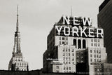 "New Yorker", New York City photo