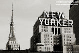 Black and White Series New York City Photography - grainy skyline of Manhattan