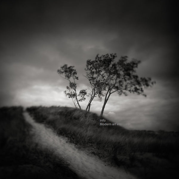 Black and White series - Solitude and Nature, "Path"