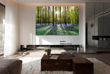 Landscape - Lush forests in Europe "Tranquility" - large ready to install photography