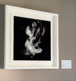 Abstract Photography - black and white smoke fluid rings of sultry